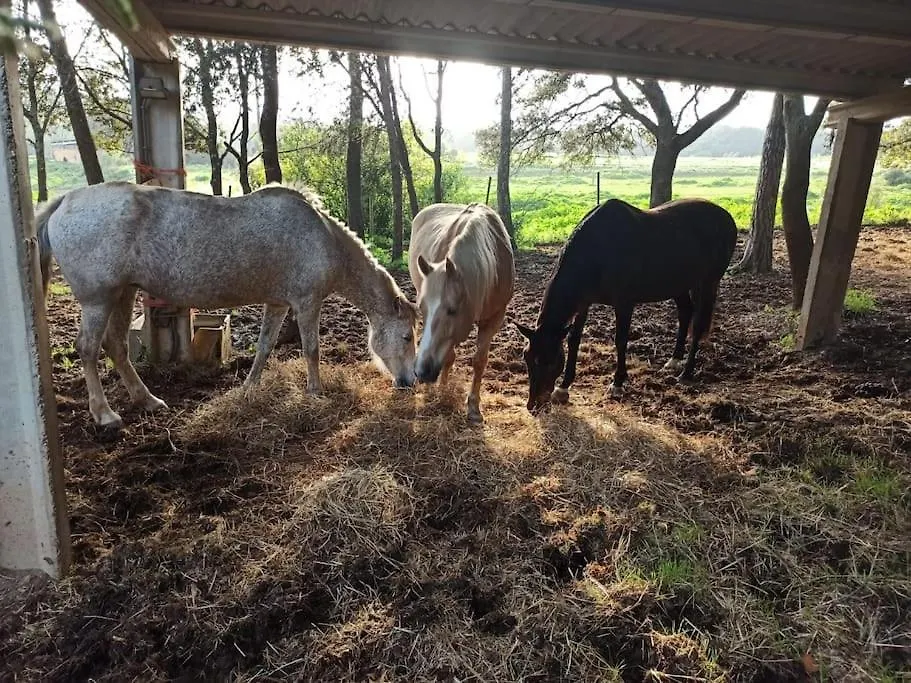 Vila Rural Environment House Costa Brava Girona