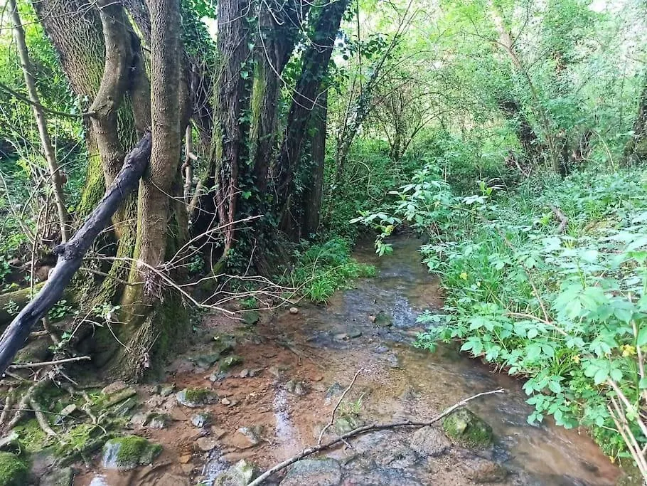 Rural Environment House Costa Brava Βίλα Χιρόνα Ισπανία